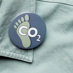 Carbon footprint button