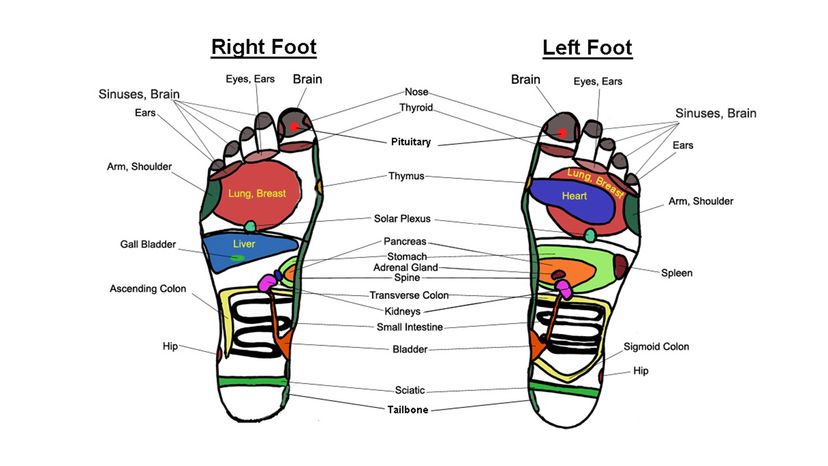 reflexology chart