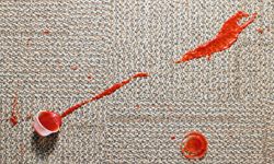 ketchup on carpet