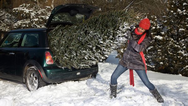 28+ Tie Christmas Tree To Car 2021