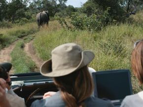 骑在越野车里的人看着前面的大象。＂border=