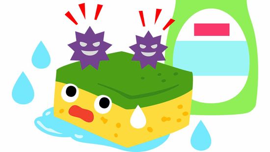 18新利最新登入多长时间你应该更换你的厨房海绵吗?”class=