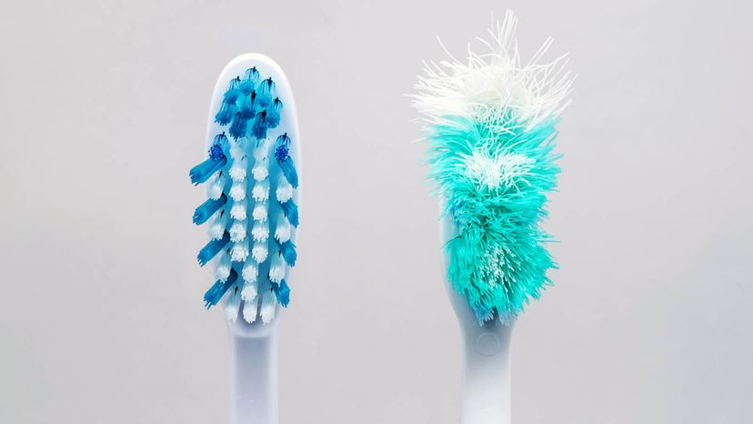 colorful toothbrushes