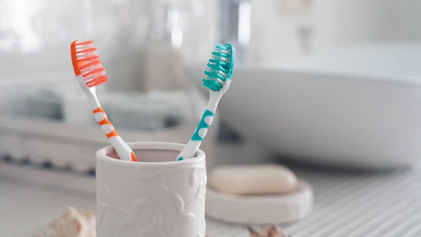 colorful toothbrushes
