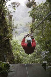 Ecotourism is one of the economic motivations for replanting the rainforests.