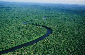 亚马逊河原始的部分，就像法属圭亚那的这一片，为无数形式的生命提供了庇护。＂width=