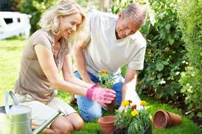 Retiree couple working in garden