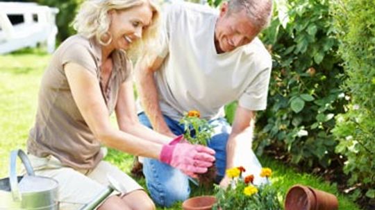 10 Jobs for Retired Couples