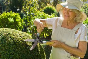 Retiree trimming bushes