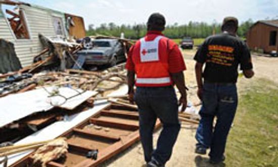 10 Best Volunteer Activities in Retirement