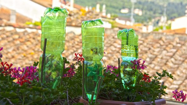 plastic bottles for watering flowers on the balcony as irrigation system