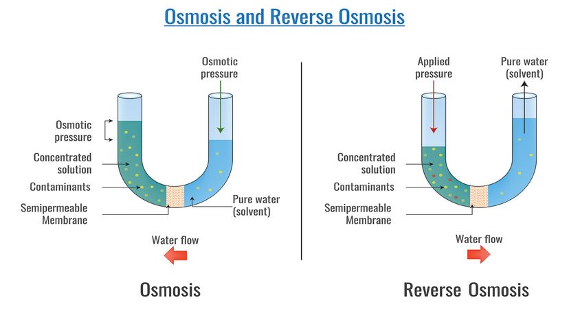 osmosis and reverse osmosis