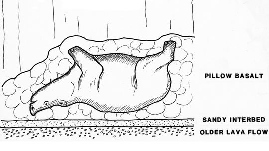 There's a Rhino-shaped Cave in Washington State