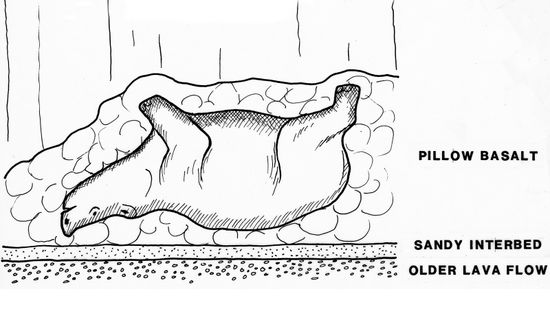 有一个Rhino-shaped洞穴在华盛顿州”class=