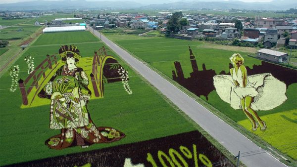 Japanese Village Creates Living Rice Paddy Art