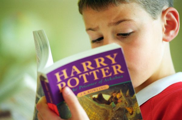 boy reading harry potter