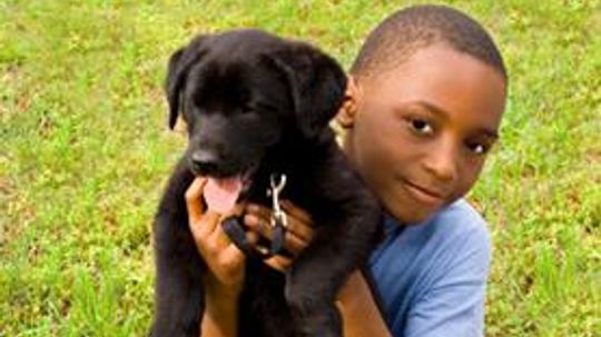 Rid Your Yard of Fleas Organically