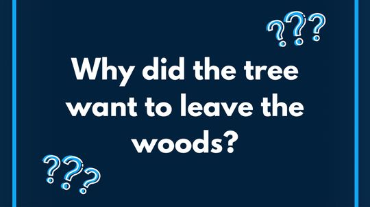 Can You Solve This Riddle?