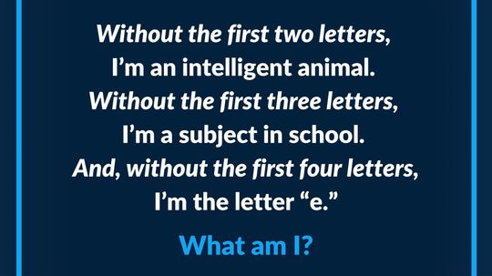 Can You Solve This Riddle?