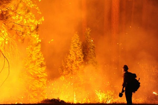 Rim Fire, firefighters