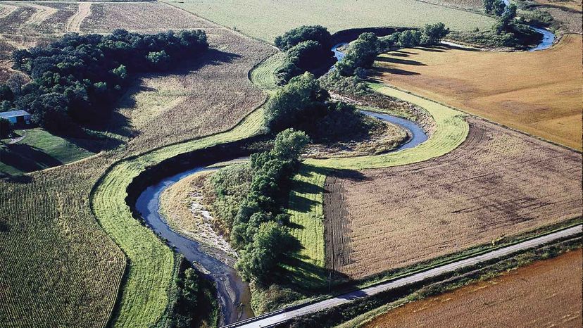 riparian buffer Bear Creek Iowl