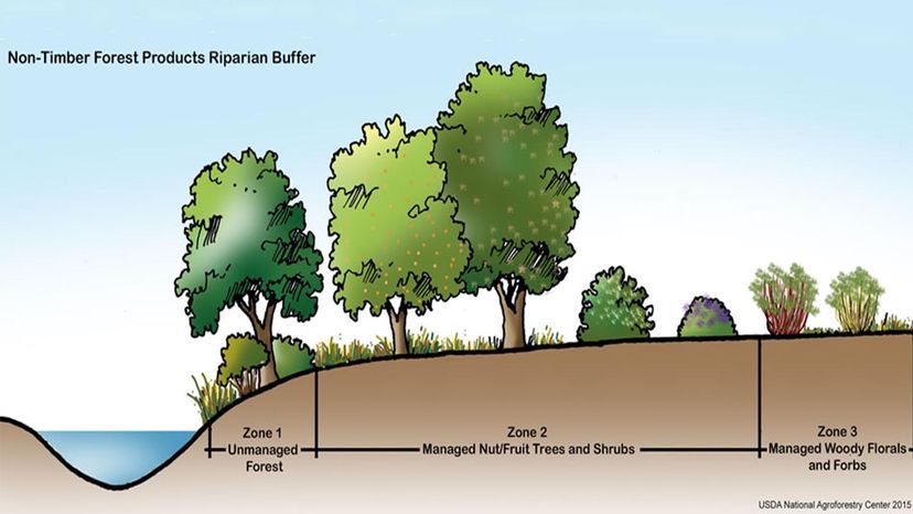 three-zone buffer