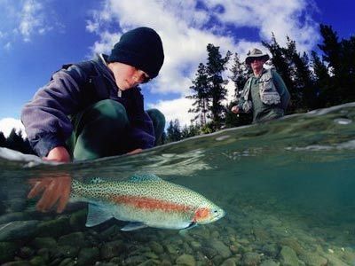 Fishing for Beginners: Rainbow Trout