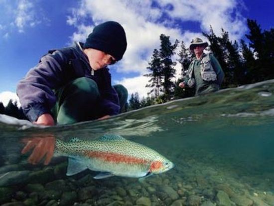 How River Trout Fishing Works