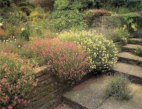 Rock Garden Ideas | HowStuffWorks