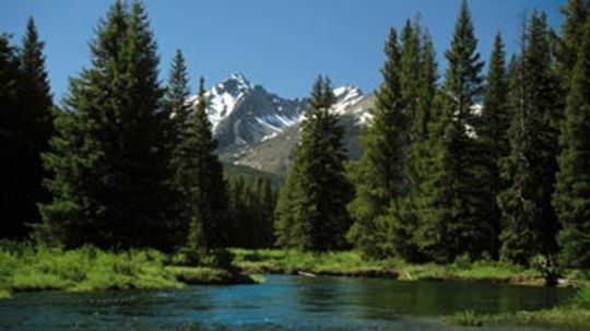 A Guide to Hiking Rocky Mountain National Park