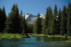 Snow-capped mountains, pine trees and pristine lakes