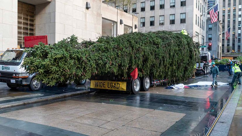 Rockefeller Christmas tree