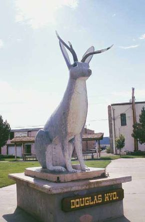 The Jackalope Statue resides in Douglas, Wyoming, also known as the &quot;Jackalope Capital of the World.&quot;