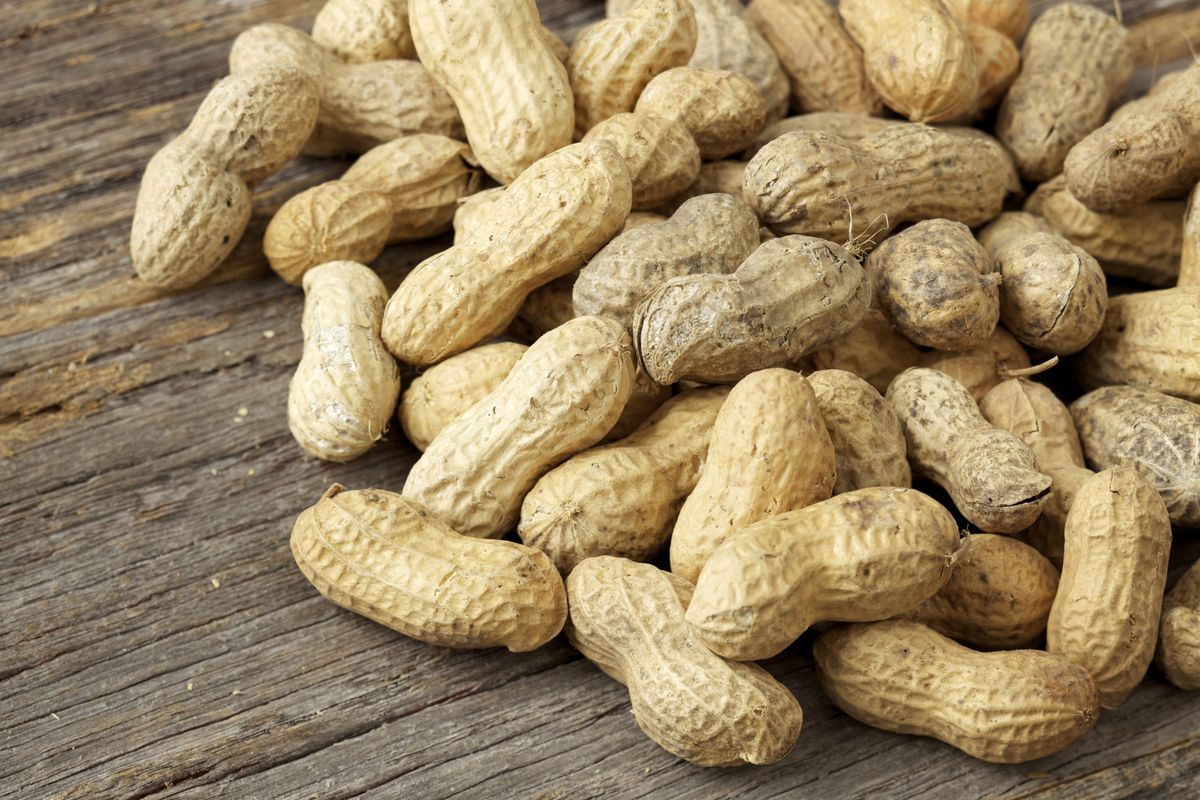 Why aren't peanuts classified as nuts? HowStuffWorks