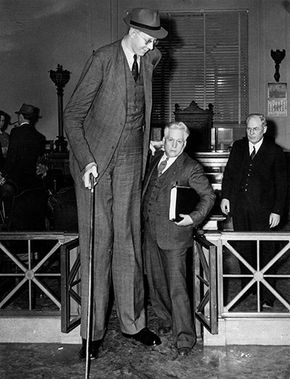 how tall was robert wadlow