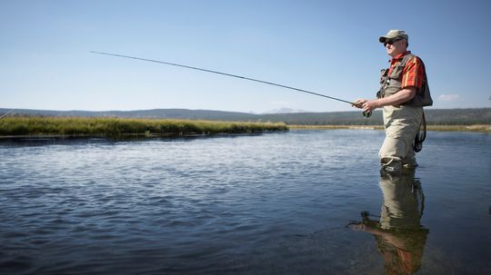 Rod and Reel Fishing Quiz