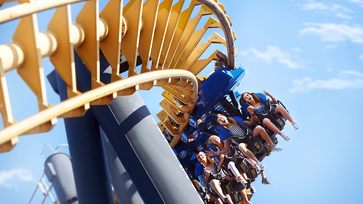 Roller Coaster DataBase  Best roller coasters, Amusement park