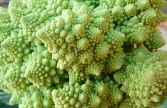 Try a New Vegetable: Romanesco Cauliflower