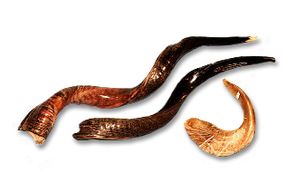 shofar