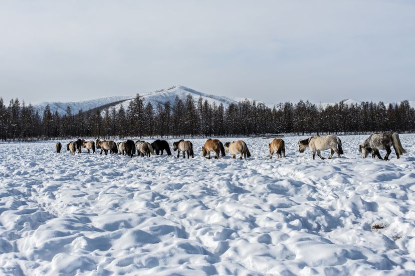 Snag, Canada - The coldest inhabited places in the world