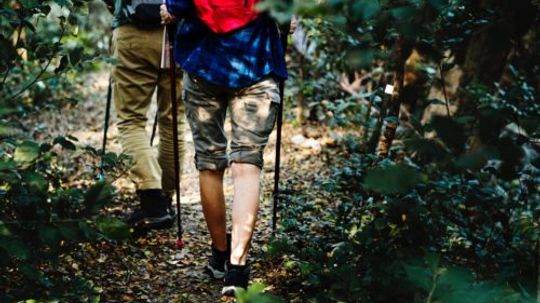 Essential Guide to Planning Your Hiking Trip