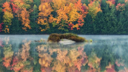 Ontario Park's 6 Undiscovered Parks For Seeing The Fall Colors