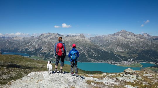 The Top 8 Pet-Friendly Vacation Destinations in Europe