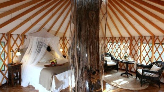 Treehouse Glamping in Texas Hill Country