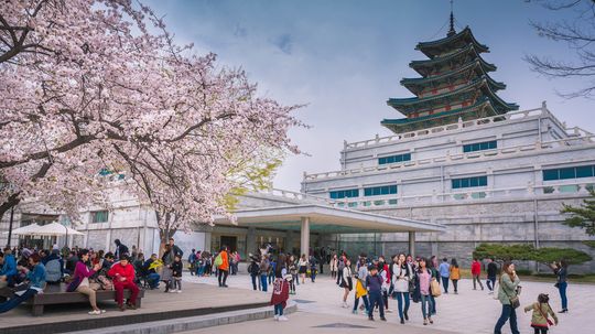 12 Things to See and Do in South Korea