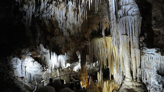 Mammoth Cave National Park