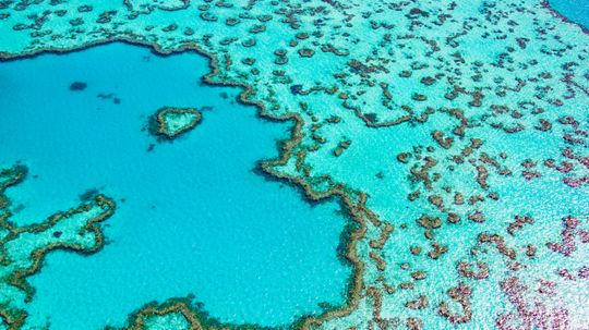 Bucket List Travel: Diving and Snorkeling the Great Barrier Reef