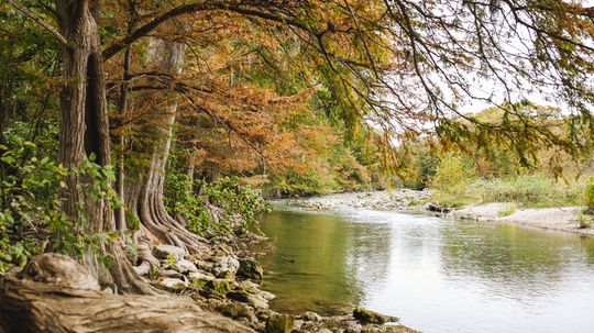 Your Guide to Visiting Guadalupe River State Park in Texas