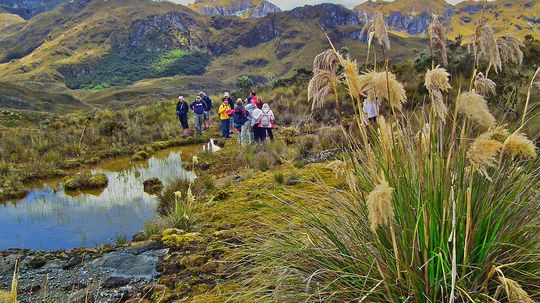 The Most Popular Tourist Attractions in Ecuador