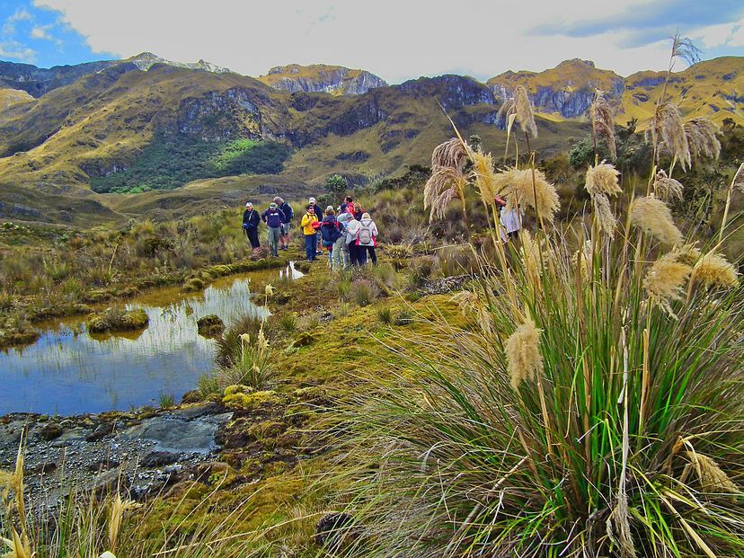 3 popular tourist attractions in ecuador